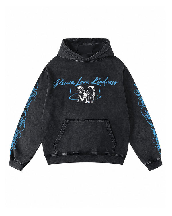 Dsstr Hoodie - Image 2